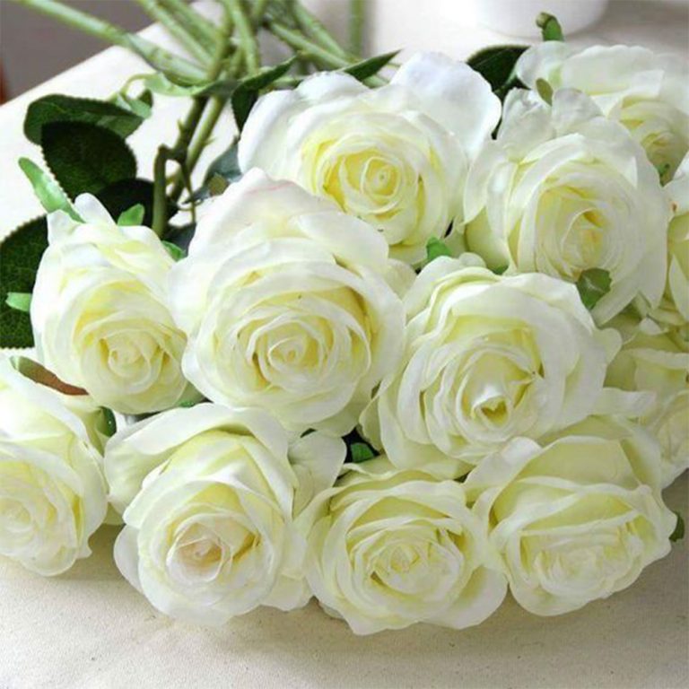 Trandafiri Albi Pentru Acasa Dichis Florarie Online 3047